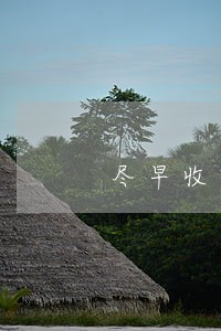 尽早收回逾期贷款 保证 尽早收回逾期贷款 保证